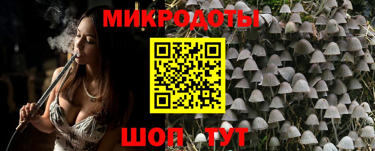 Псилоцибиновые грибы Psilocybine cubensis  Вход с VPN  Богородицк 